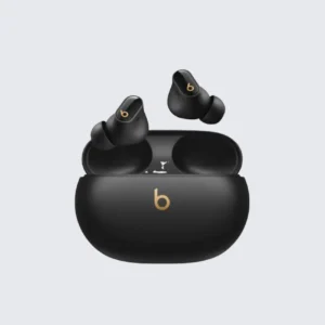 Beats True Wireless Earbuds with Charging Case